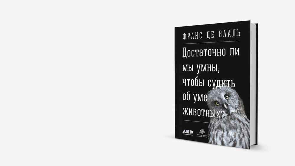 Что животные видят в зеркале? Отрывок из книги о зверином интеллекте