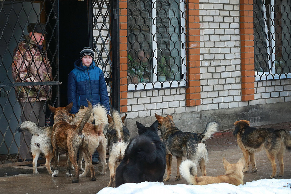 Фото: Владимир Смирнов / ТАСС