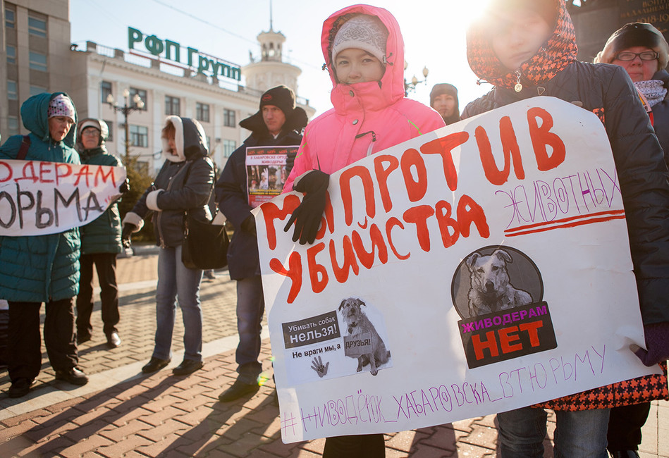 «Неприкрытая жестокость и особый цинизм»