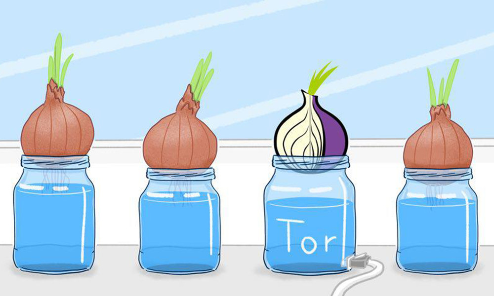 Узел Богатова: Tor-технологии могли сделать его случайной жертвой