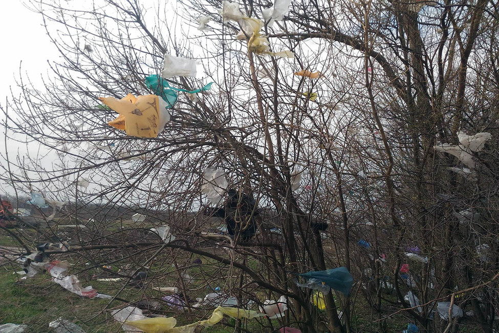 «Выходить на улицы невозможно из-за невыносимого запаха трупов»