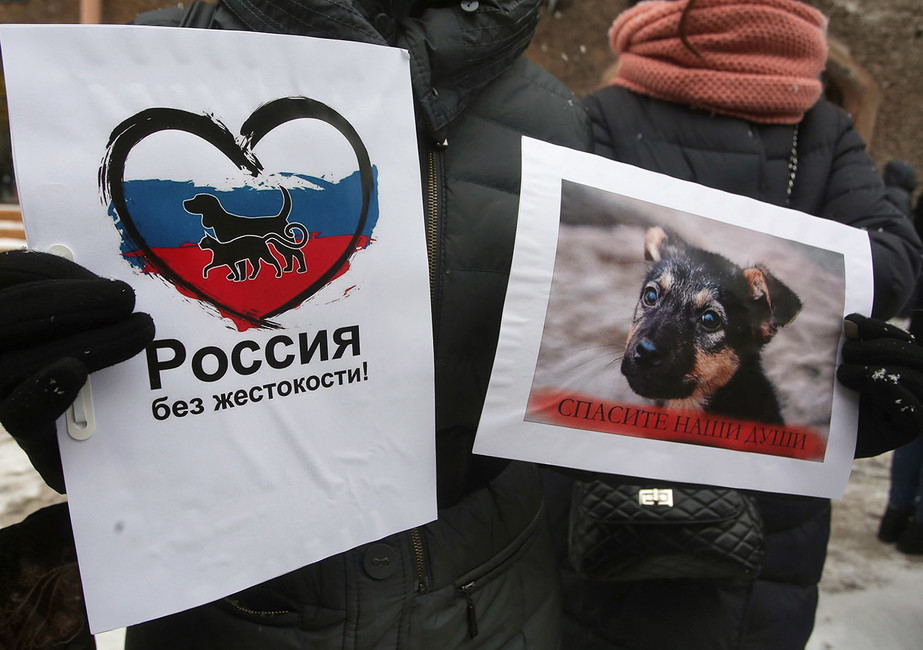 9 протестов россиян в эти выходные
