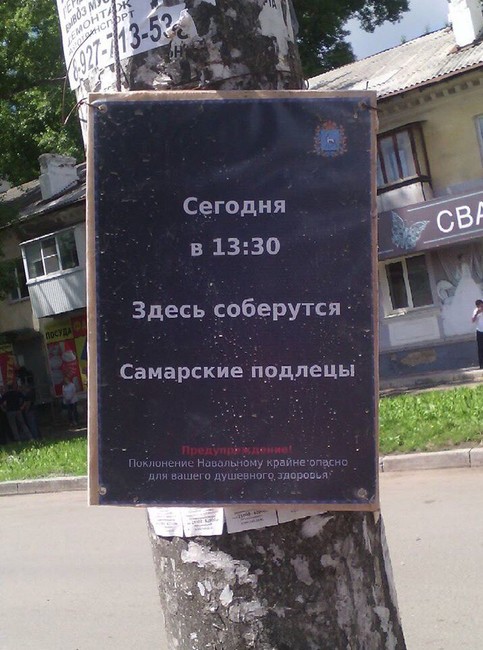 Фото: Матвей Михайлов