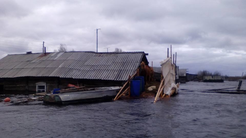 В Коми из-за паводков село полностью ушло под воду