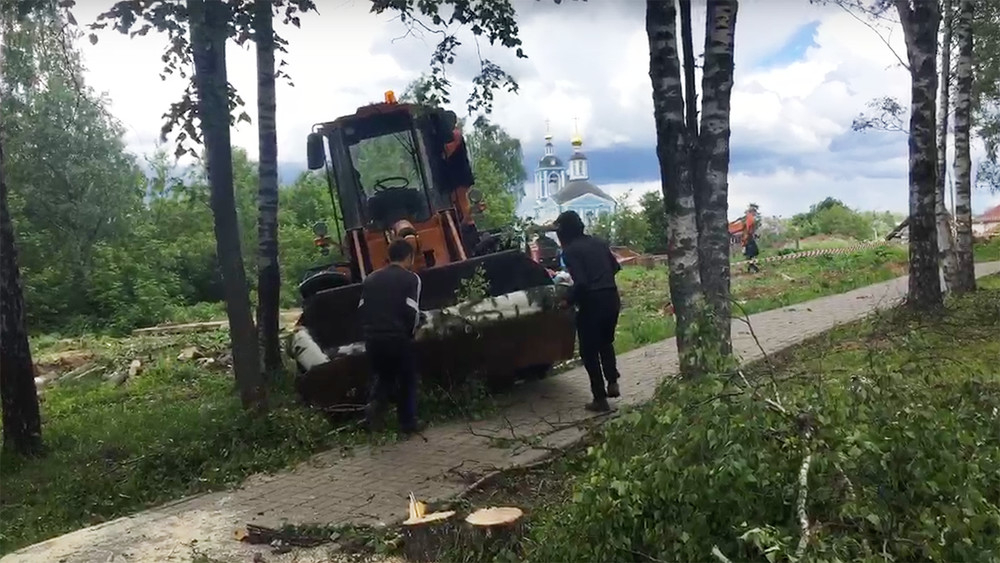 В Сергиевом Посаде полностью спилили аллею ветеранов ВОВ