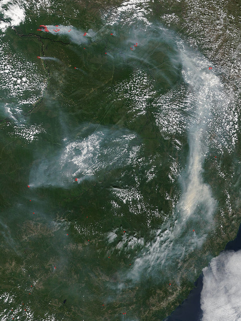 Карта лесных пожаров в Южной Сибири. Фото: NASA