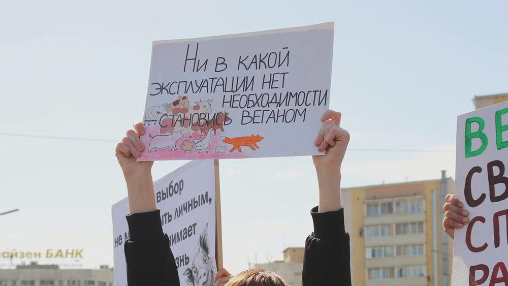 Московского активиста оштрафовали за веганский плакат на первомайском шествии