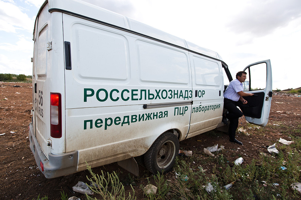 Какие продукты этим летом уничтожил Россельхознадзор