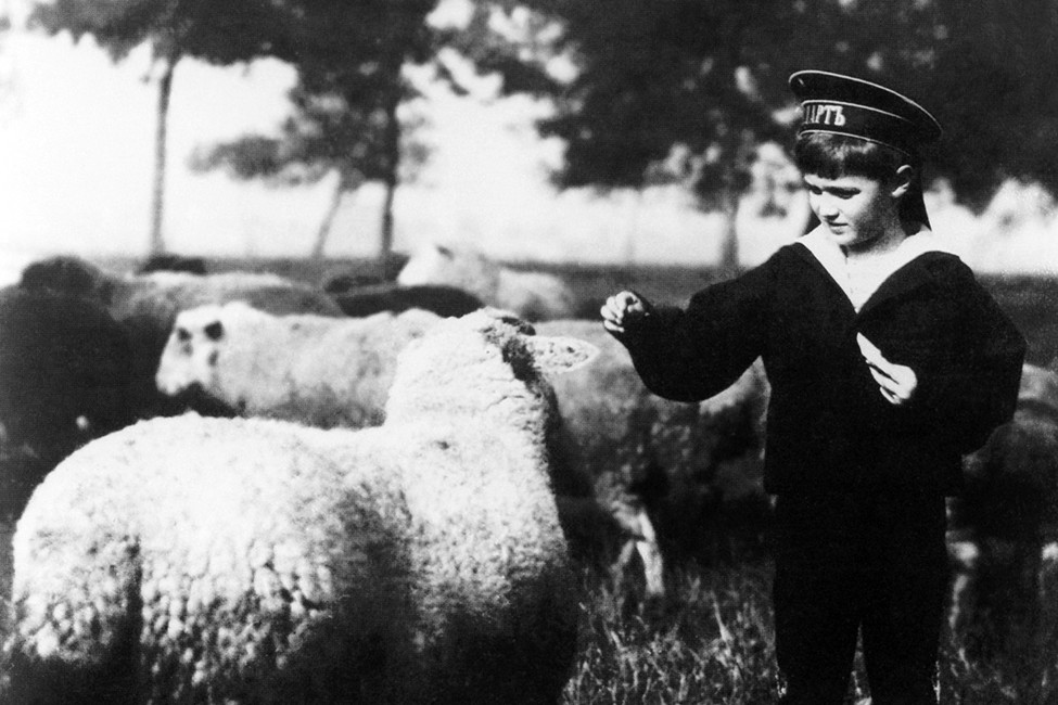Камень, ножницы, плед. Как покрывало цесаревича Алексея стало реликвией, и как с этим связан автопробег
