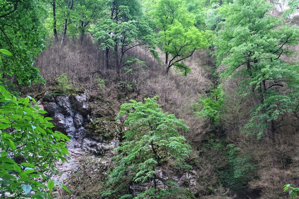 Гуамское ущелье. Фото: Открытая Россия