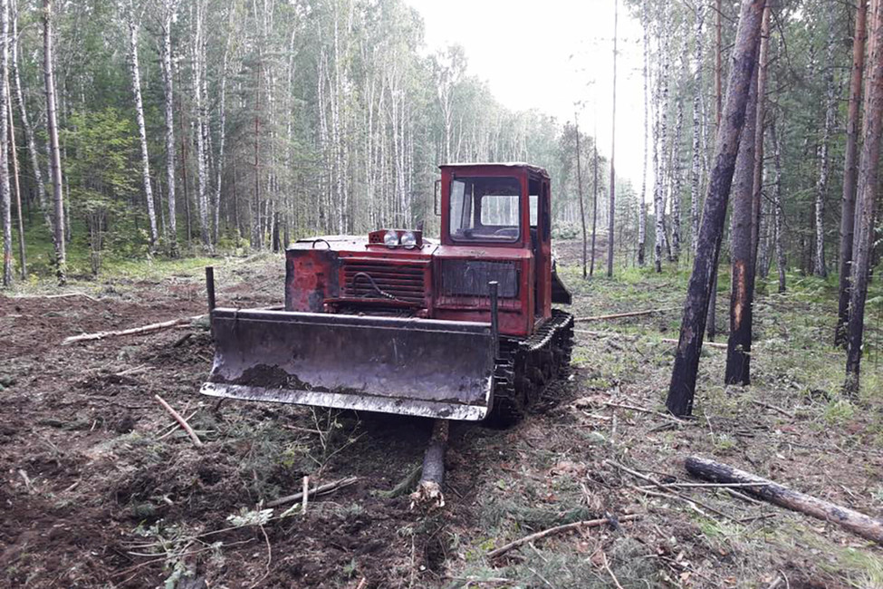 Вырубка леса для ГОКа. Фото: Стоп ГОК
