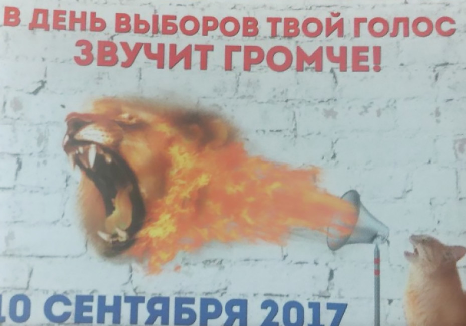 Фото: Юлия Куржумова