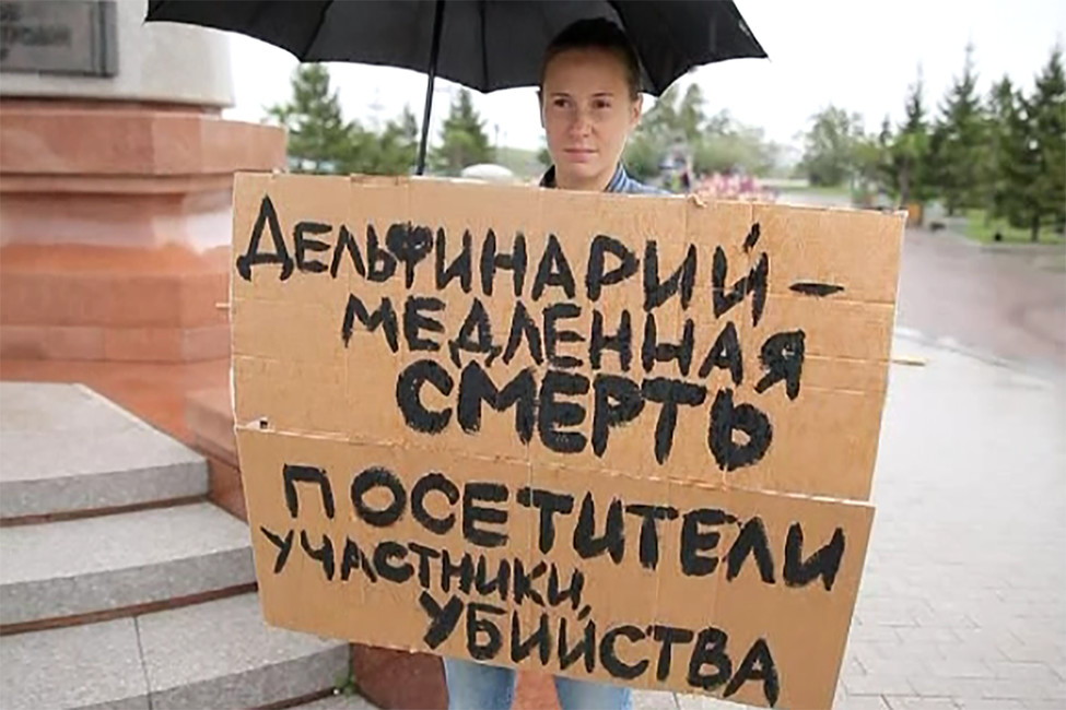 Кадр: tvk6.ru