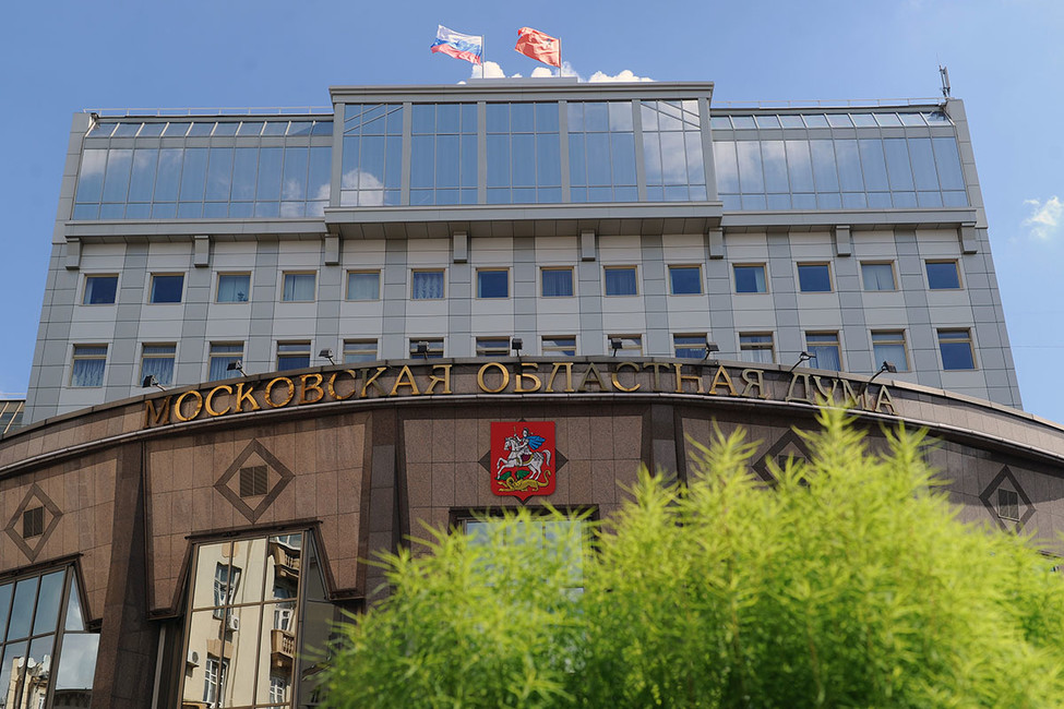 Подмосковные активисты требуют провести референдум о возвращении прямых выборов
