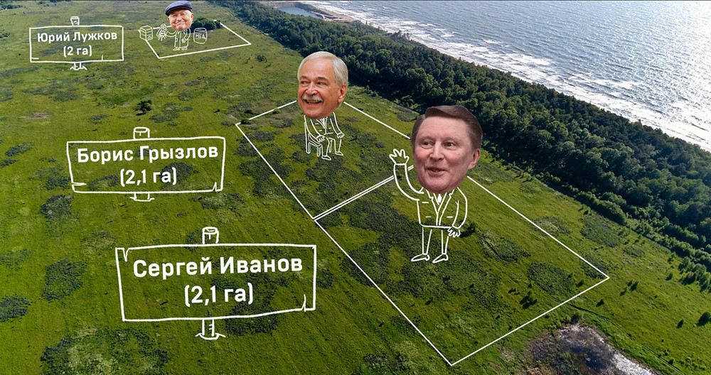 Изображение: ЦУР