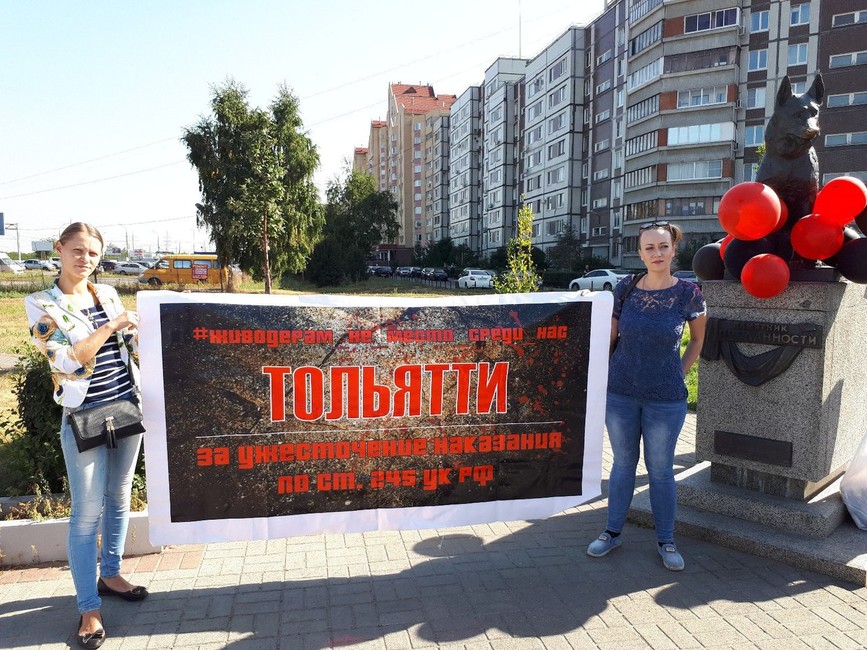 Зоозащитный пикет в Тольятти. Фото: Матвей Михайлов