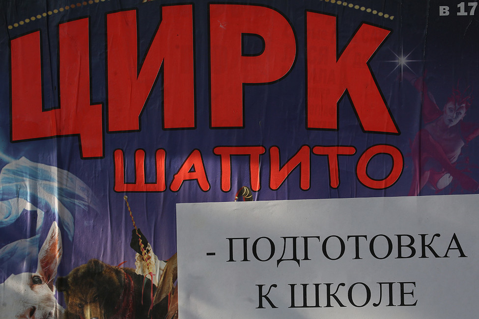 Новым главой Саратовского отделения «Единой России» стал бывший директор городского цирка