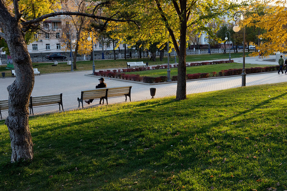 Городской парк в Астрахани. Фото: Максим Коротченко / ТАСС