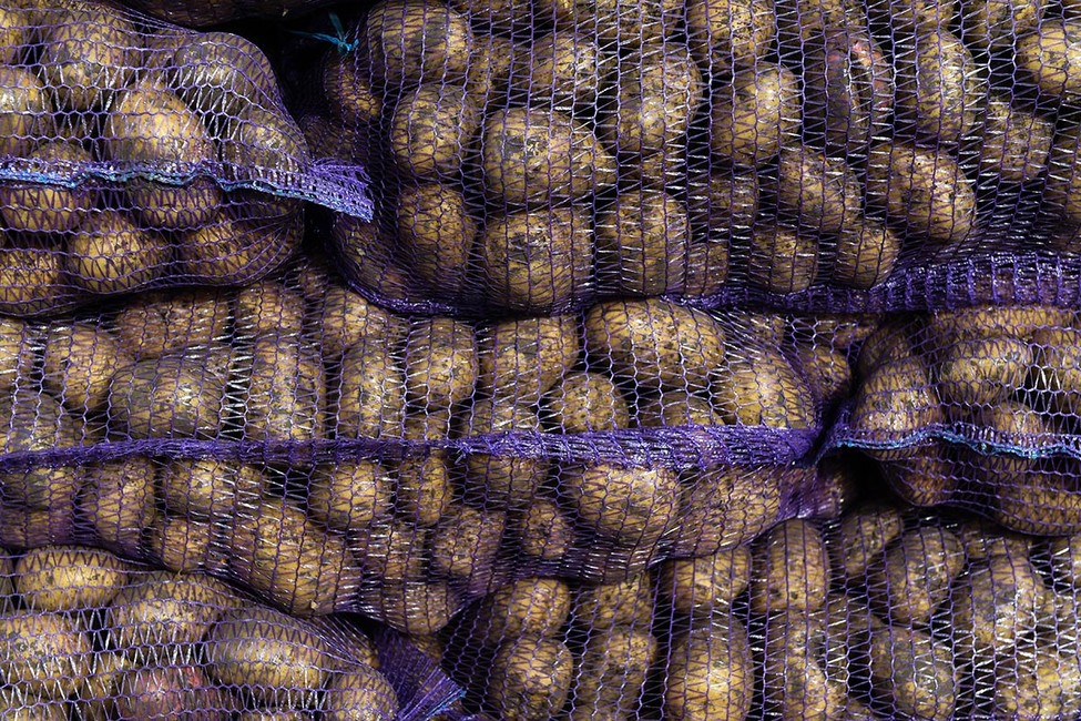 «Ведомости»: из-за кризиса россияне заменили молочные продукты макаронами и картофелем