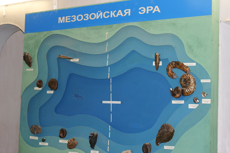Ундоровский палеонтологический музей. Фото: Артем Горбунов
