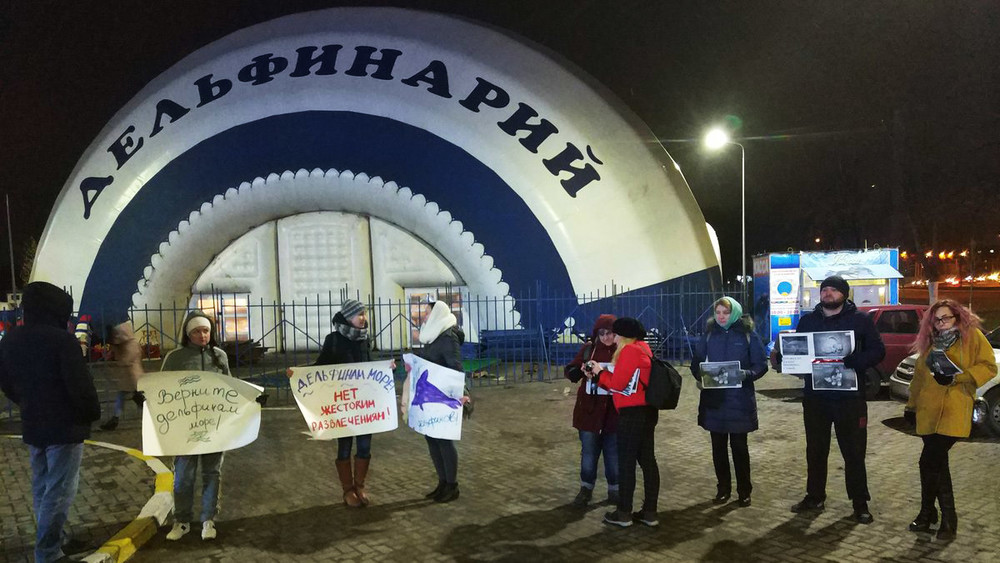 В Ульяновске выступили за свободу дельфинов