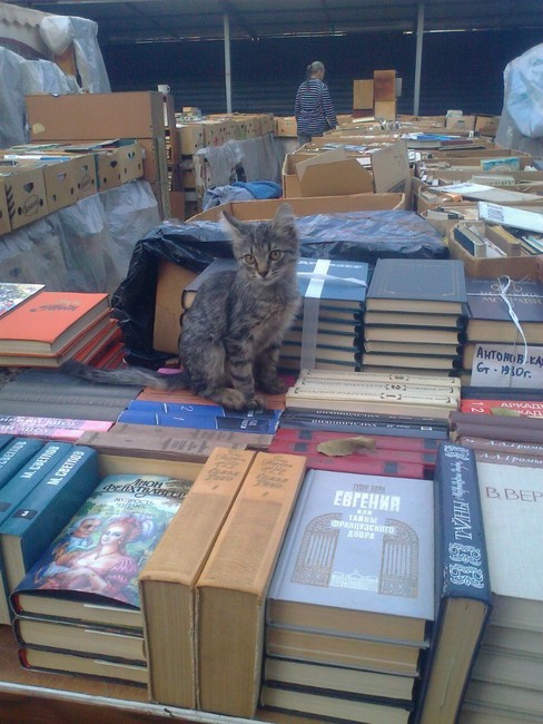 Фото: Книжный развал на Пушкинской, Ростов-на-Дону / ВКонтакте
